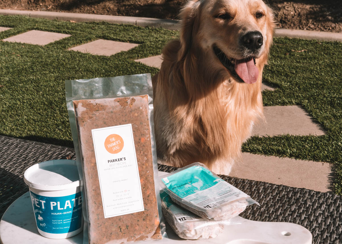 Best Dog Food Delivery Services 